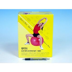 Gymnastický míč relaxační 65cm v krabici červená obraz