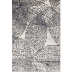 Šedý koberec 300x400 cm Lush – FD obraz