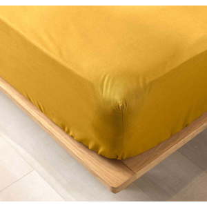 Žluté napínací prostěradlo z Bio bavlny 90x190 cm Biolina – douceur d'intérieur obraz