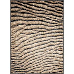 Hnědý koberec 80x120 cm Avanti – FD obraz
