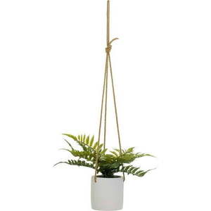Umělá rostlina (výška 24 cm) – Casa Selección obraz