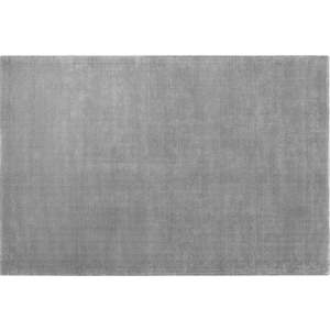 Šedý koberec z viskózy 200x300 cm Visca – Blomus obraz