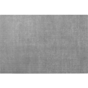 Šedý koberec z viskózy 160x240 cm Visca – Blomus obraz