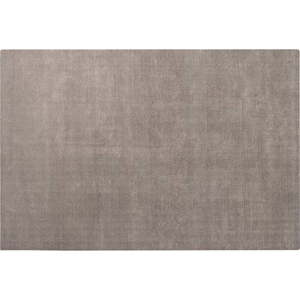 Hnědý koberec z viskózy 160x240 cm Visca – Blomus obraz