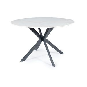 Jídelní stůl TOLAO bílý mramor/černá obraz
