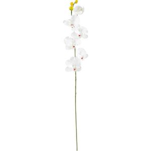 UMĚLÁ KVĚTINA orchidej 72 cm obraz