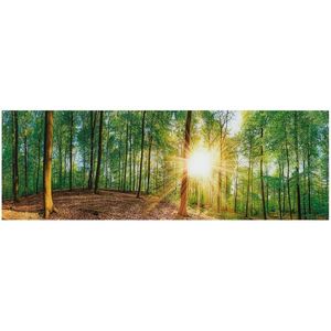 Euroart OBRAZ NA SKLE, stromy, 33/98 cm obraz
