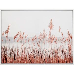 Monee TIŠTĚNÉ OBRAZY NA PLÁTNĚ, krajina a příroda, 60/45 cm obraz