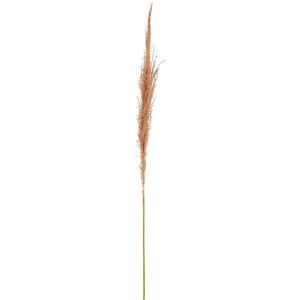 DEKORAČNÍ VĚTVIČKA pampová tráva 120 cm obraz