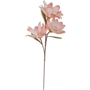 Ambia Home UMĚLÁ KVĚTINA magnolie 90 cm obraz