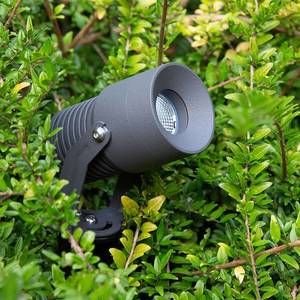 EVN Zahradní reflektor EVN Merlo LED se zemním hrotem, 3 000K, 10 W obraz