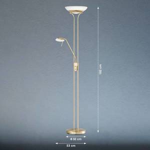 FISCHER & HONSEL LED stojací lampa Pool, mosazná barva, výška 182 cm, 2 světla. obraz