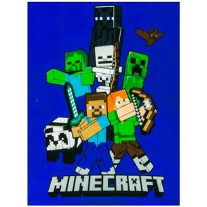 Carbotex Dětská deka Minecraft Time to Mine, 100 x 140 cm obraz