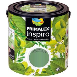 Primalex Inspiro himalájská šalvěj 2, 5l obraz