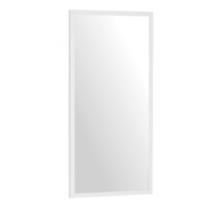 Elvisia Zrcadlo VERA | bílá 120 x 60 cm obraz