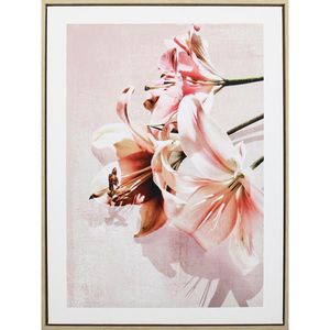 Monee TIŠTĚNÉ OBRAZY NA PLÁTNĚ, květiny, 45/60 cm obraz