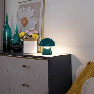 Lindby Lindby LED dobíjecí stolní lampa Nevijo, benzín, USB, dotykový stmívač obraz