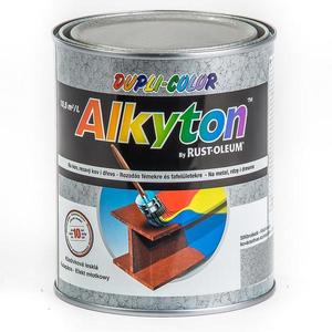 Alkyton kladívková stříbrně šedá 750ml obraz
