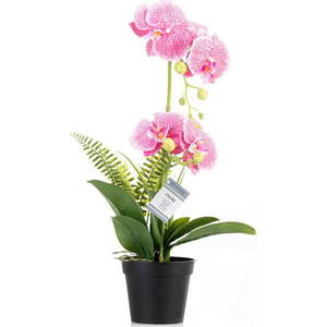 Umělá květina (výška 55 cm) Orchid – AmeliaHome obraz