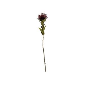 Umělá květina (výška 60 cm) Protea – PT LIVING obraz
