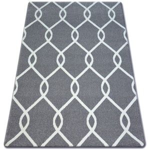 Dywany Lusczow Kusový koberec SKETCH MARK šedý / bílý trellis, velikost 200x290 obraz