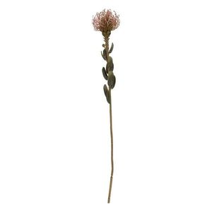 Umělá květina (výška 60 cm) Protea – PT LIVING obraz