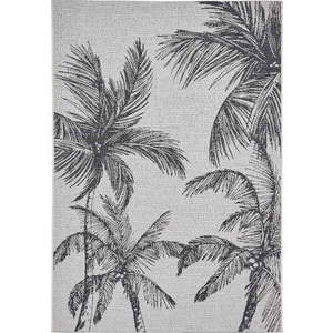 Černo-krémový venkovní koberec 160x220 cm Miami – Think Rugs obraz
