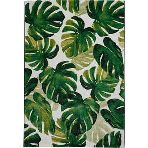 Tmavě zelený koberec 160x220 cm Havana – Think Rugs obraz