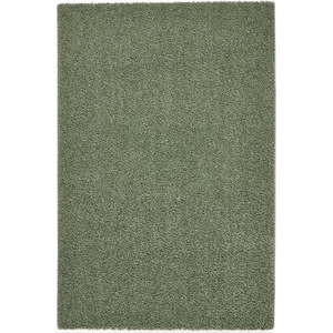 Zelený pratelný koberec z recyklovaných vláken 120x170 cm Bali – Think Rugs obraz