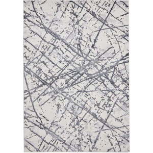 Světle šedý koberec 80x150 cm Artemis – Think Rugs obraz