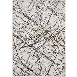 Koberec ve světle šedo-zlaté barvě 80x150 cm Artemis – Think Rugs obraz