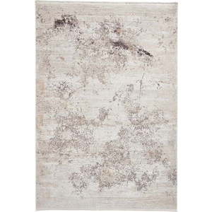 Krémový koberec z viskózy 200x290 cm Bellagio – Think Rugs obraz