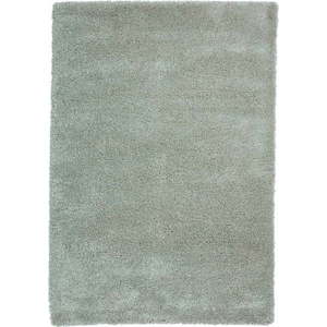 Světle zelený koberec 80x150 cm Sierra – Think Rugs obraz