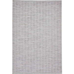 Světle šedý venkovní koberec 160x220 cm Santa Monica – Think Rugs obraz