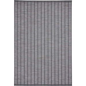 Tmavě šedý venkovní koberec 160x220 cm Santa Monica – Think Rugs obraz