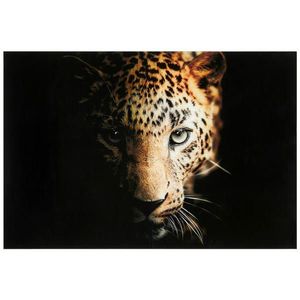 Monee OBRAZ NA SKLE, zvířata, 120/80 cm obraz