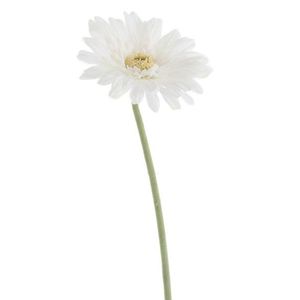 Bílá umělá dekorativní květina Gerbera - 10*10*64 cm 83275 obraz