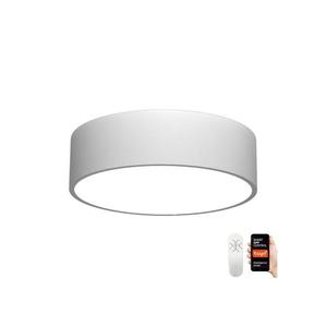 Neo NEO 07204L - LED Stmívatelné svítidlo RONDATE LED/18W/230V bílá Tuya + DO obraz