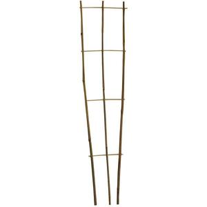 Bambusový žebřík obraz