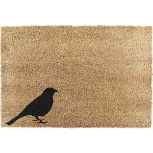 Rohožka z kokosového vlákna 40x60 cm Bird – Artsy Doormats obraz