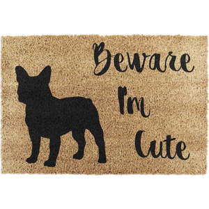 Rohožka z kokosového vlákna 40x60 cm Beware I'm Cute French Bulldog – Artsy Doormats obraz