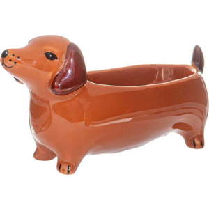 Porcelánová dekorativní mísa 5x14 cm Sausage Dog – Sass & Belle obraz