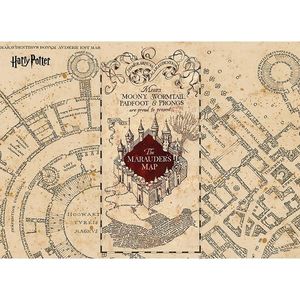 Dětská fototapeta Harry Potter Marauders Map 252 x 182 cm, 4 díly obraz
