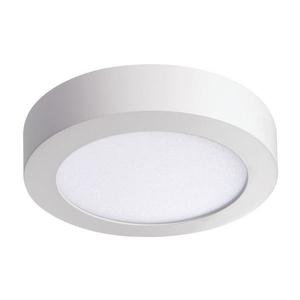 LED Stropní svítidlo LED/12W/230V 3000K bílá obraz