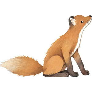 Dětská samolepka 43, 5x45 cm Vintage Fox – Lilipinso obraz