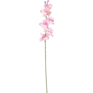 UMĚLÁ KVĚTINA orchidej 72 cm obraz