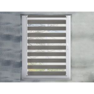 FEXI Roleta Den a noc, Silk stříbrná, A 096 FR, 150x30 cm obraz
