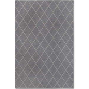 Šedý vlněný koberec 200x290 cm Maria – Villeroy&Boch obraz