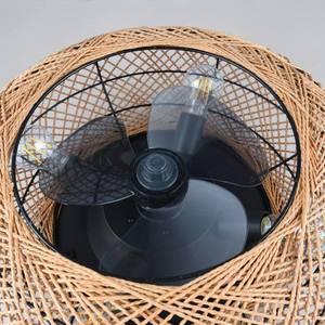 Reality Leuchten Stropní ventilátor Lillesand se světlem, tichý, Ø 50 cm, FB obraz