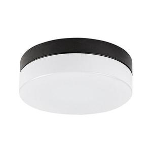 Rabalux Rabalux 75025-LED Koupelnové stropní svítidlo GAELO LED/15W/230V pr. 23 cm černá obraz